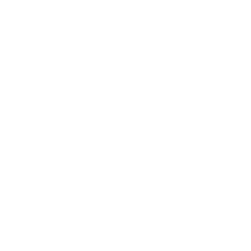 LACASSAGNE LAURENT MACONNERIE